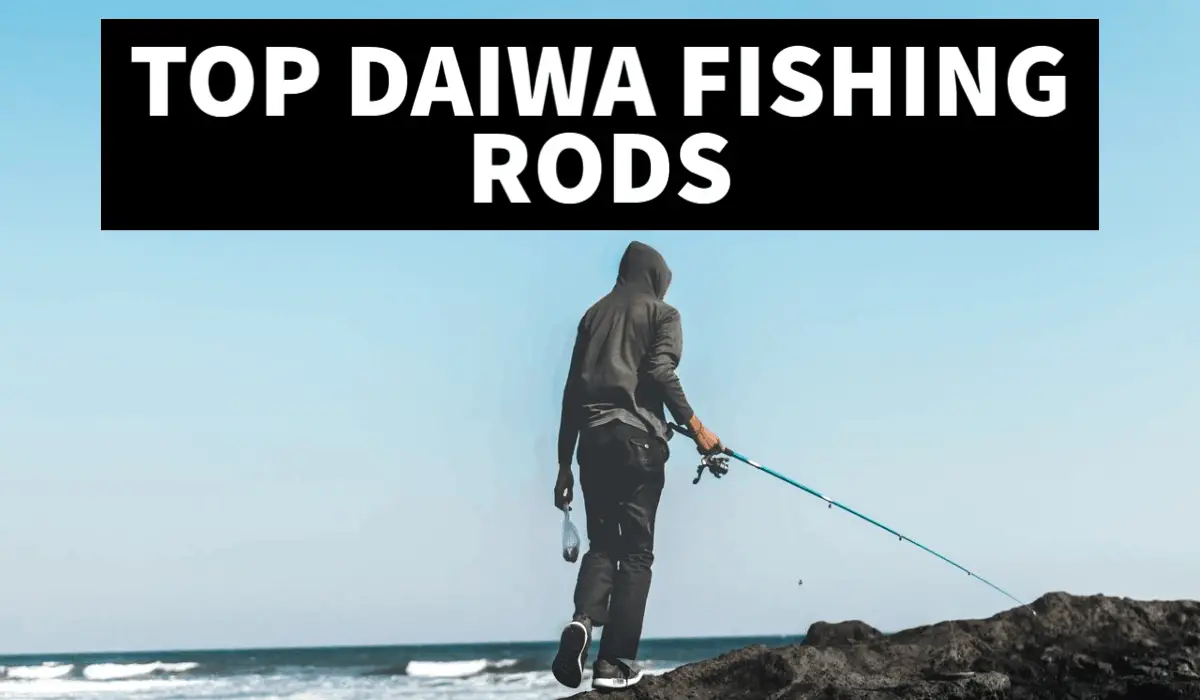Top Must buy Daiwa fishing rods in 2020