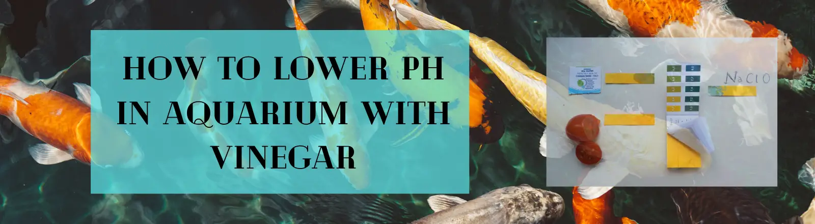 How to Lower pH in Aquarium with vinegar?