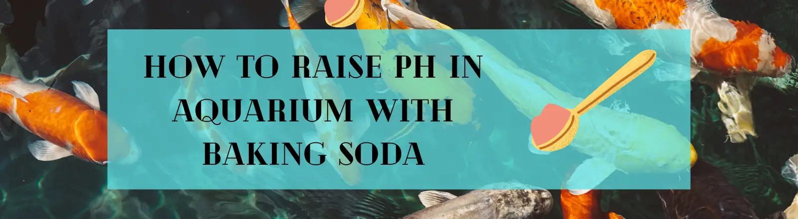 How to raise pH in fish tank with Baking soda- [Complete guide]