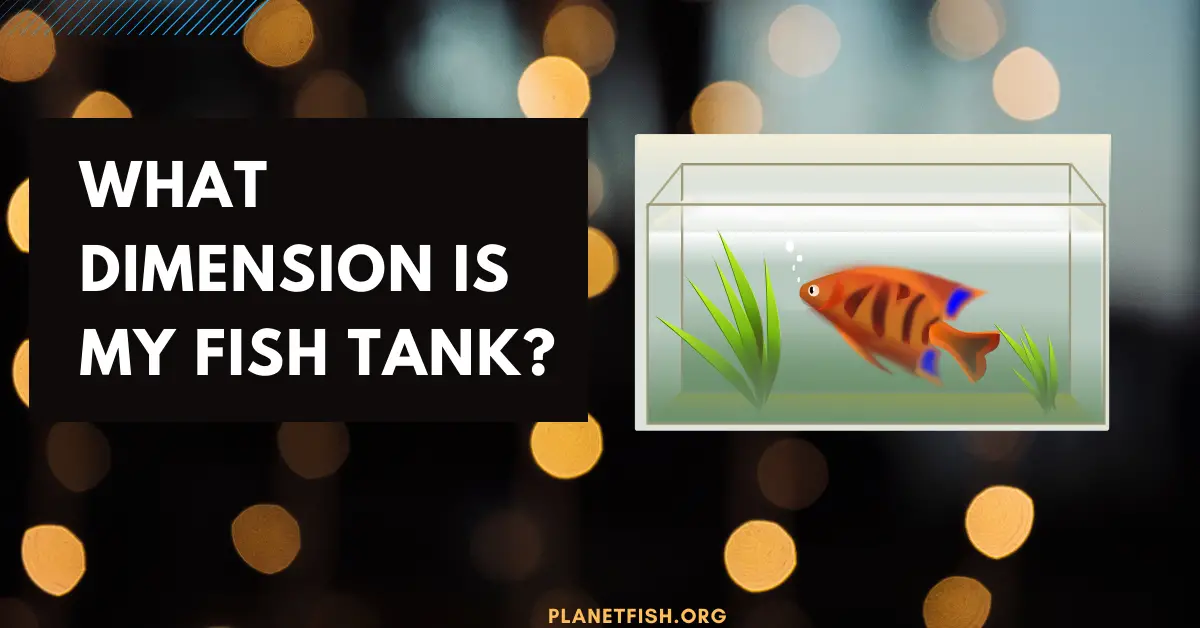 Different Dimensions of fish tank and their capacity