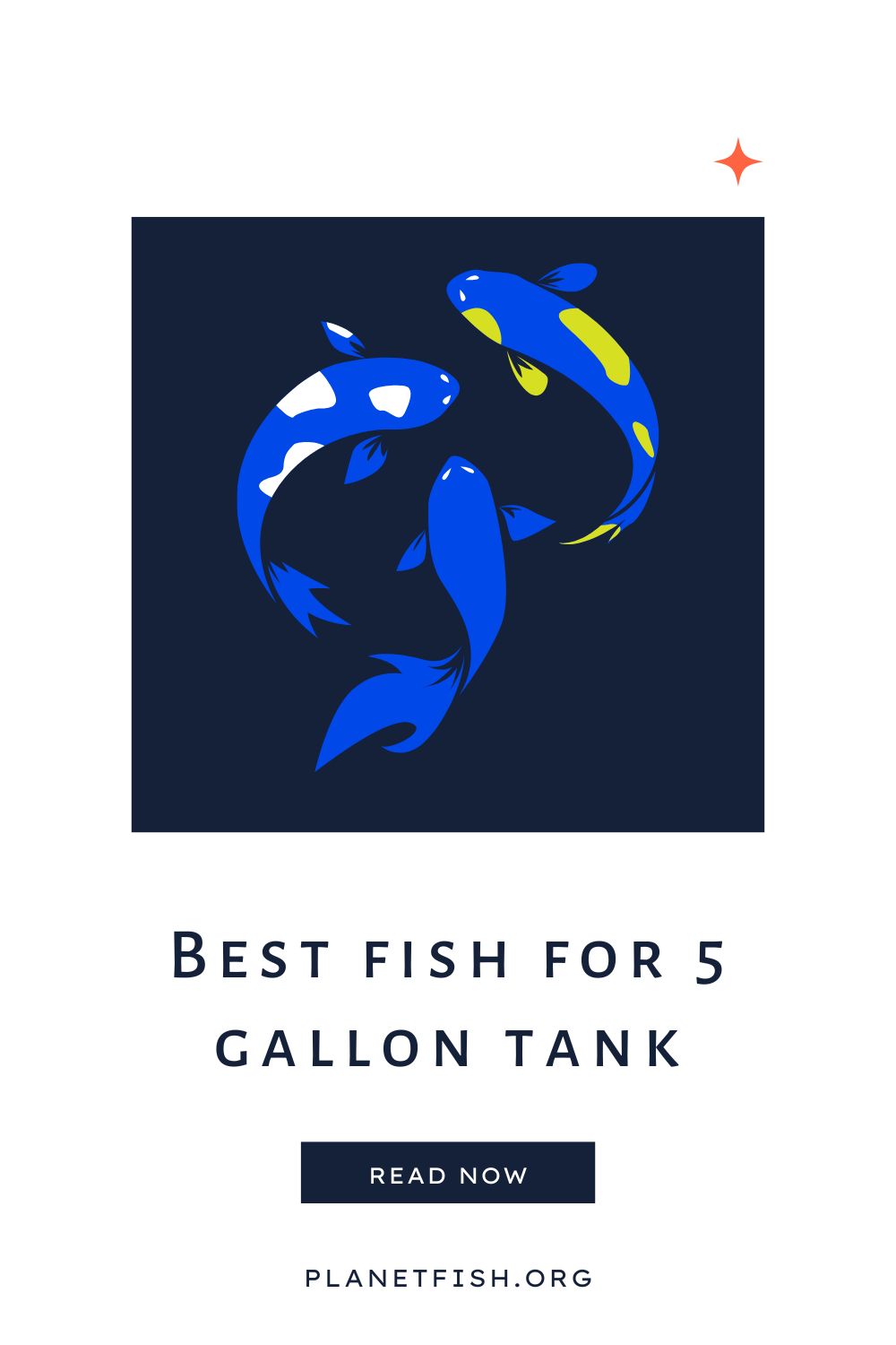 best fish for 5 gallon tank